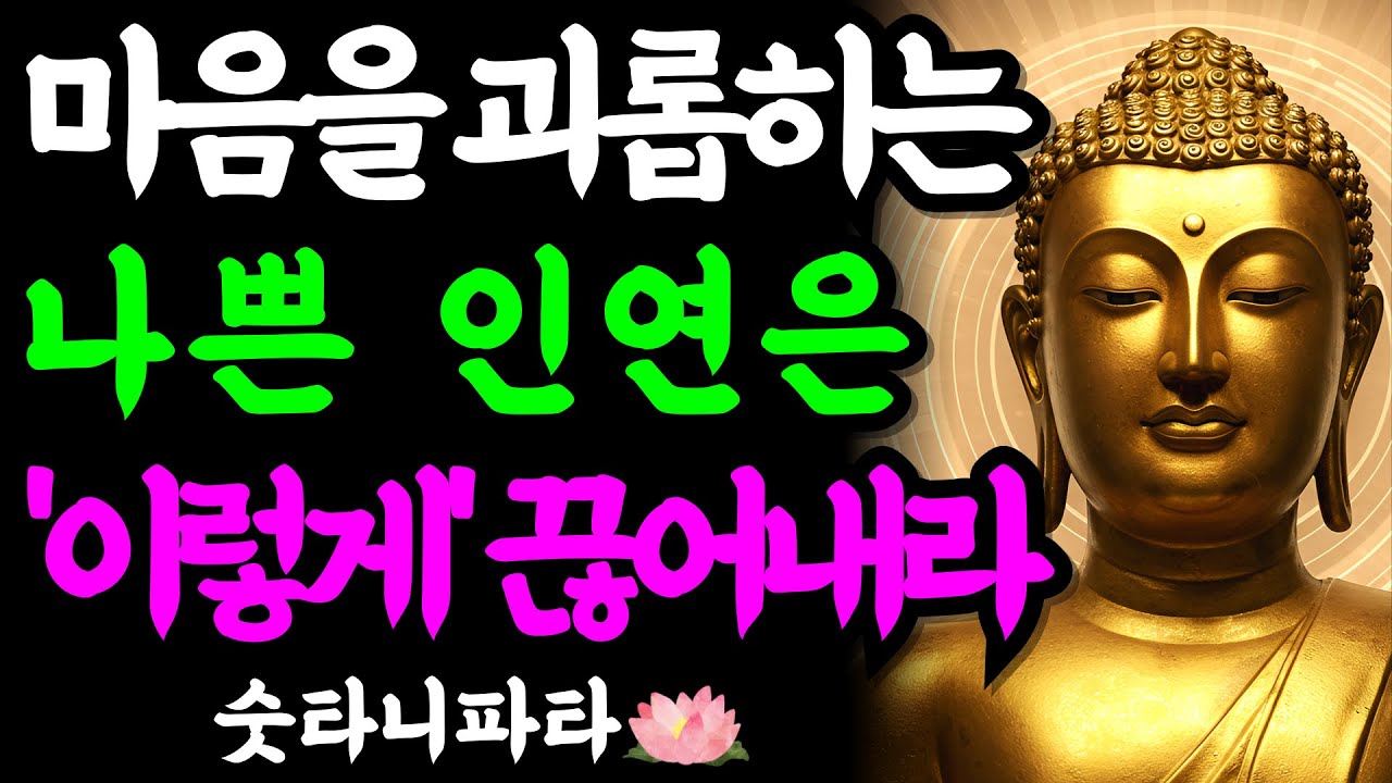 나를 힘들게 하는 인연은 반드시 '이렇게' 정리하세요 | 마음의 평온을 되찾는 부처님의 3가지 지혜 | 부처님 말씀 | 석가모니 | 불교명언 | 불교오디오북