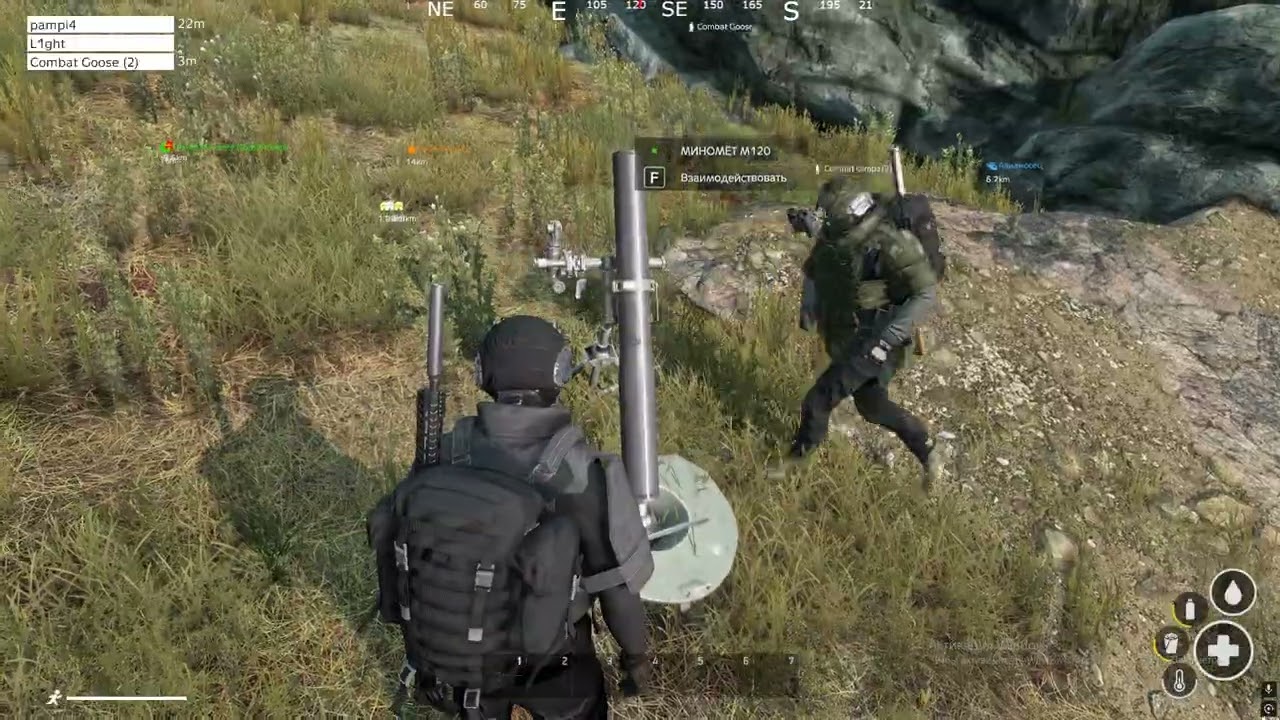 DayZ