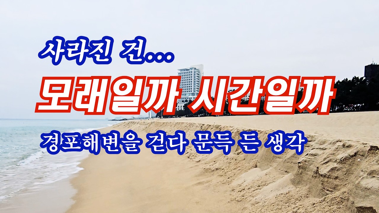 파도는 그대로 인데 모래는 사라졌습니다｜경포 해변 힐링 산책