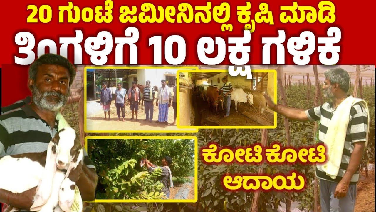 ಇಪ್ಪತ್ತು ಗುಂಟೆ ಜಮೀನಿನಲ್ಲಿ ಕೃಷಿ ಮಾಡಿ ತಿಂಗಳಿಗೆ 10 ಲಕ್ಷ ಆದಾಯ | success story