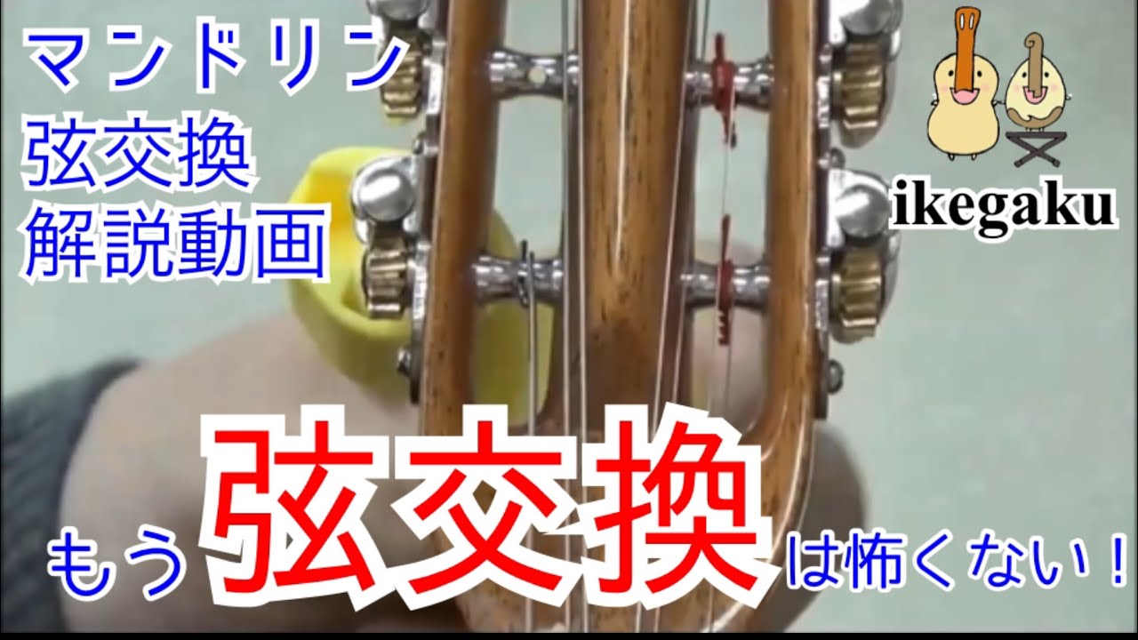 【初心者でもできる】マンドリン弦交換の仕方～ローマタイプ〜 change strings on the mandolin for Roma type