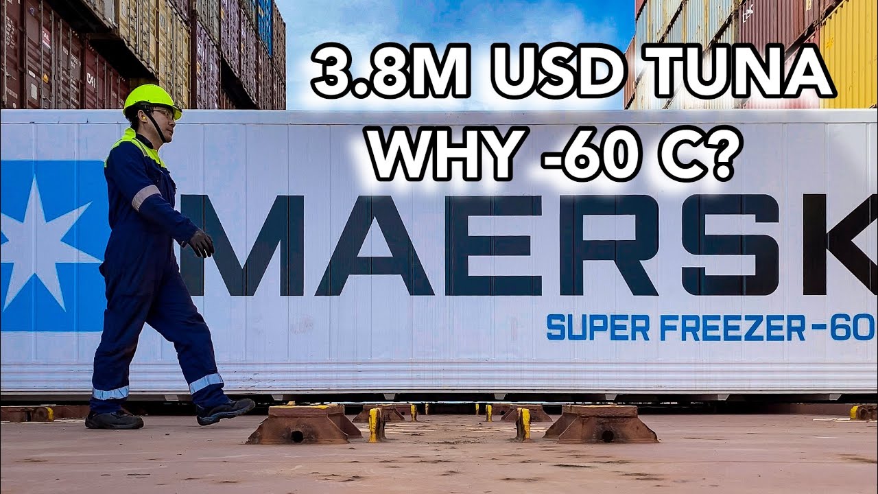3.8 MILLION DOLLAR CARGO SUPERFREEZER