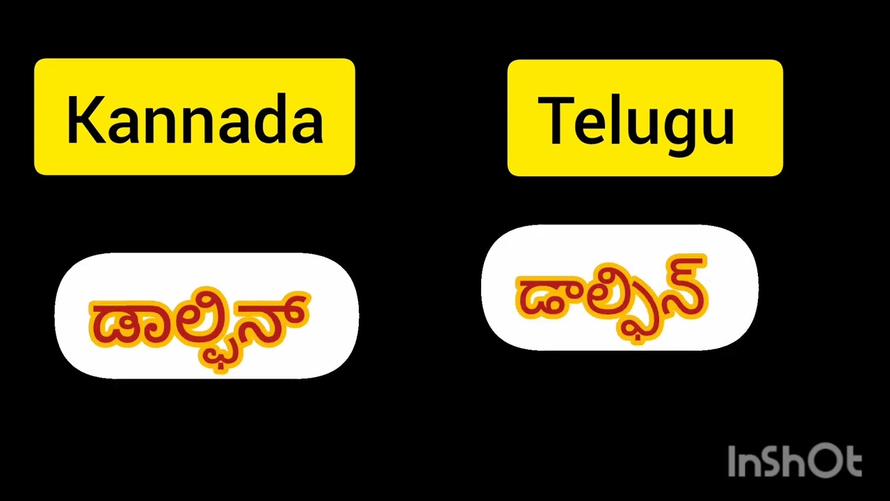 #lesson 13 #kannada to telugu #telugu to kannada #learn languages 