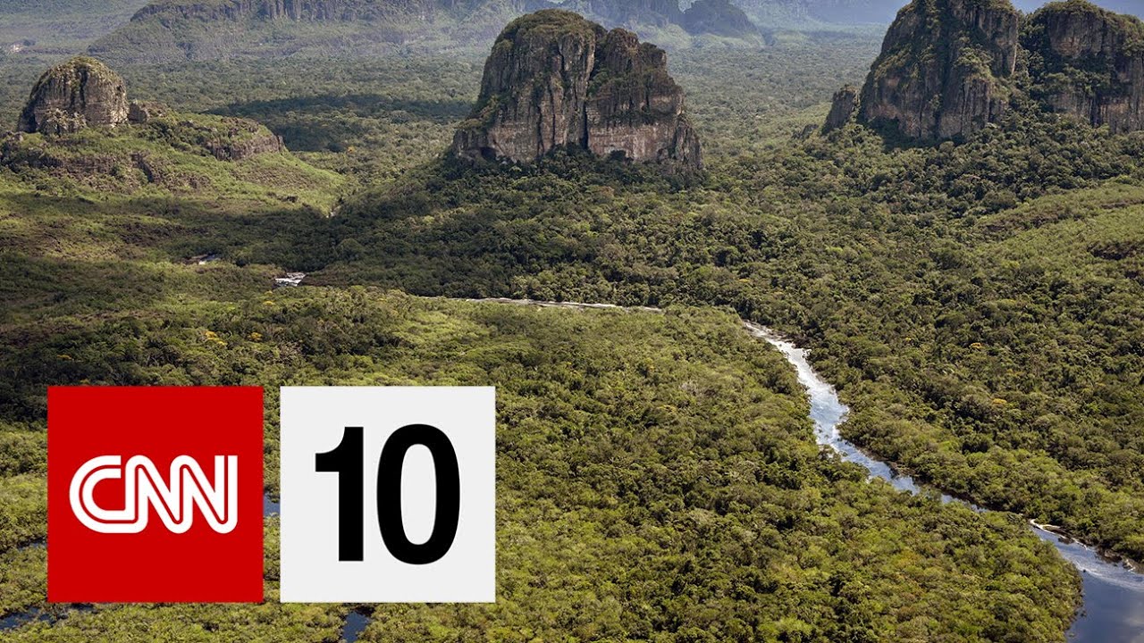 Why the Rainforest is Shrinking | November 12, 2019