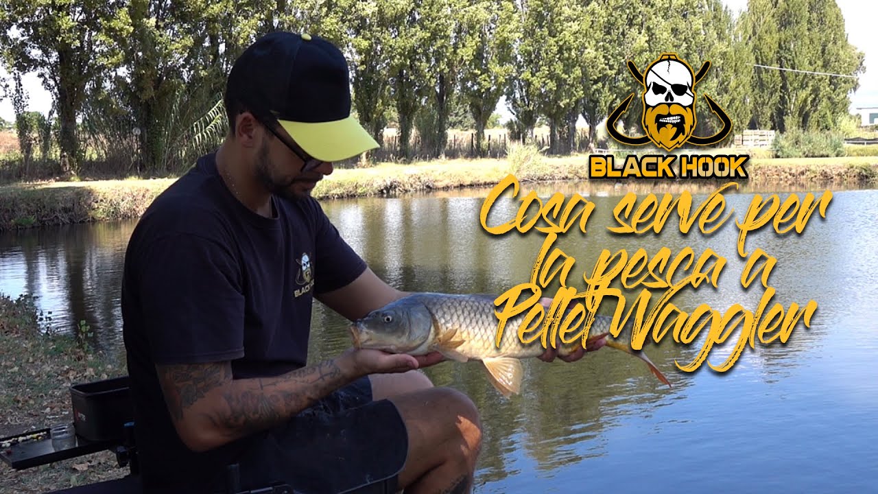 Pesca a Waggler: Cosa serve e come ci si prepara
