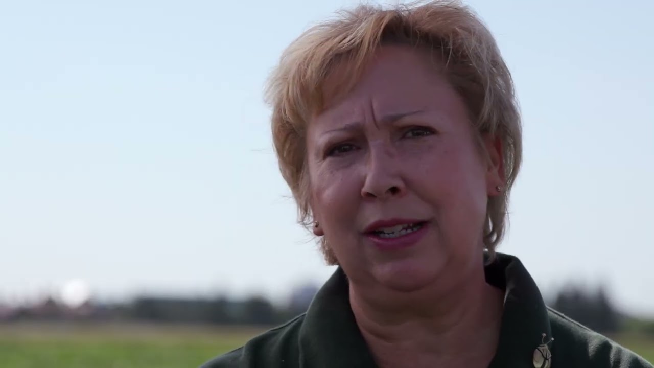 Best Management Practices for Soybean Aphids- Dr. Janet Knodel