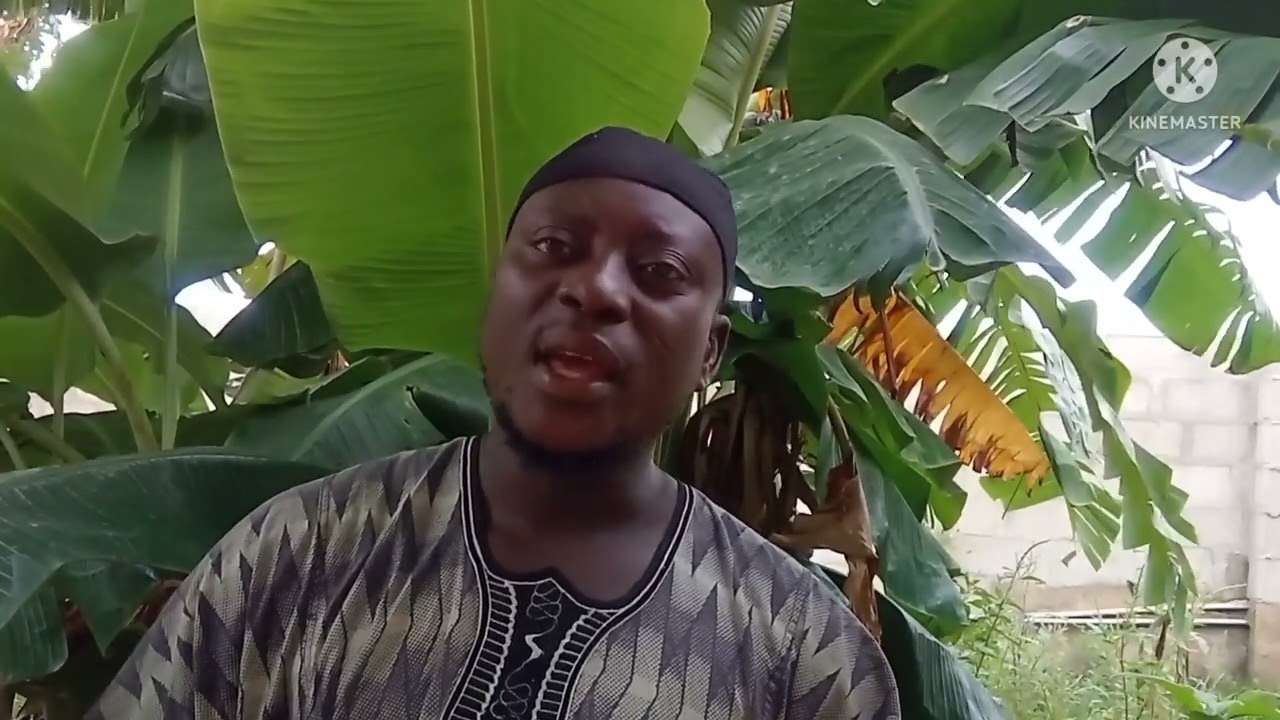 BI ASE NLO IKARAHUN IGBIN KAN PELU SUGAR ONIKORO 16 FUN EYONU TODAJU