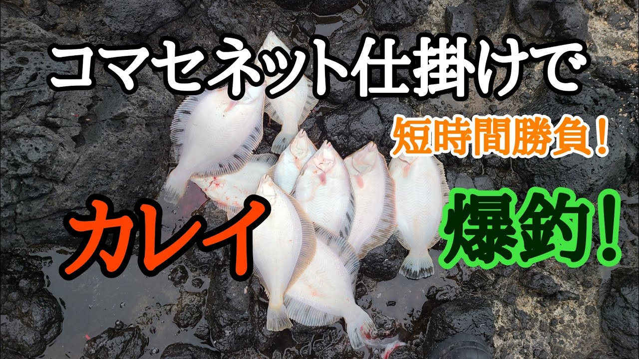 積丹の磯でカレイを狙いました！