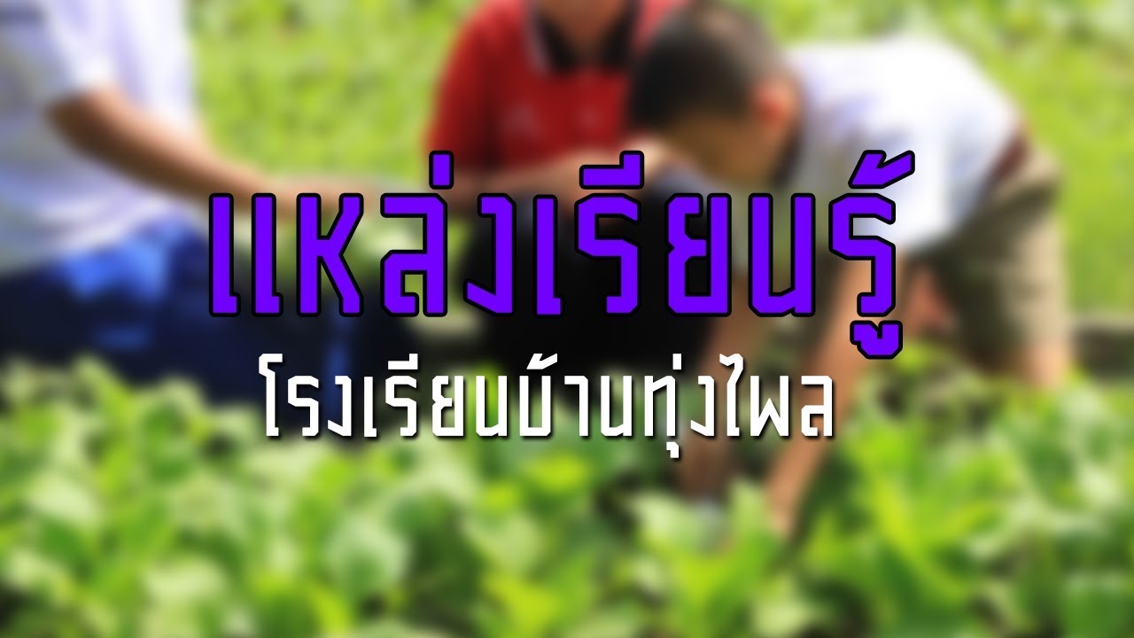 แหล่งเรียนรู้ | โรงเรียนบ้านทุ่งไพล จ.สงขลา