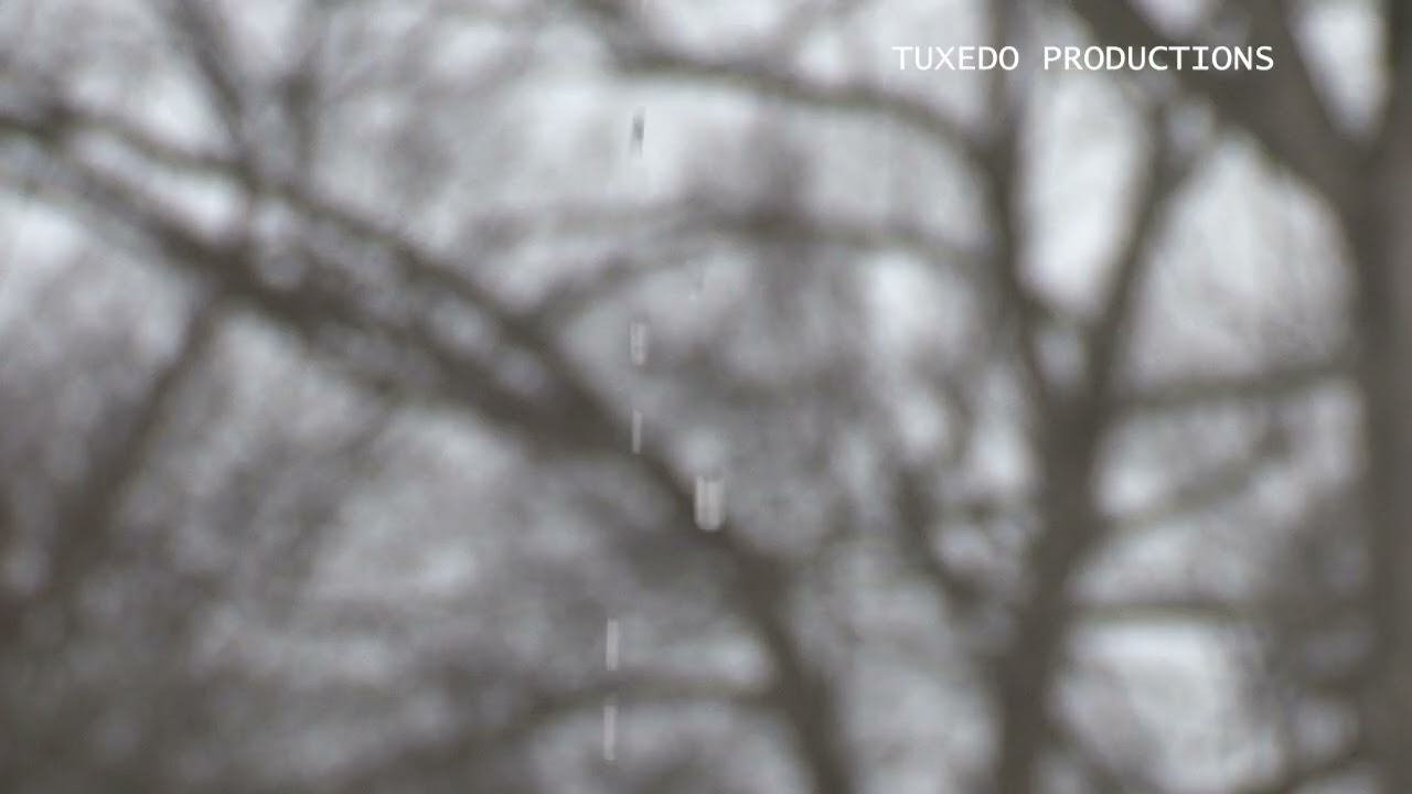 RAIN DROPS