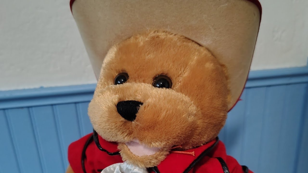 PBC International Singing Kitty Bear - 