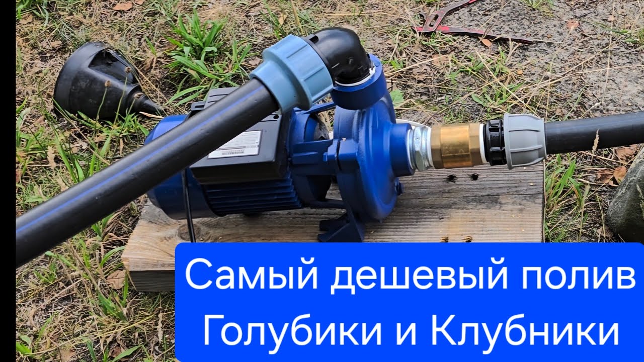Электронасос для полива [450л/мин] / Самый дешевый полив для Голубики и Клубники