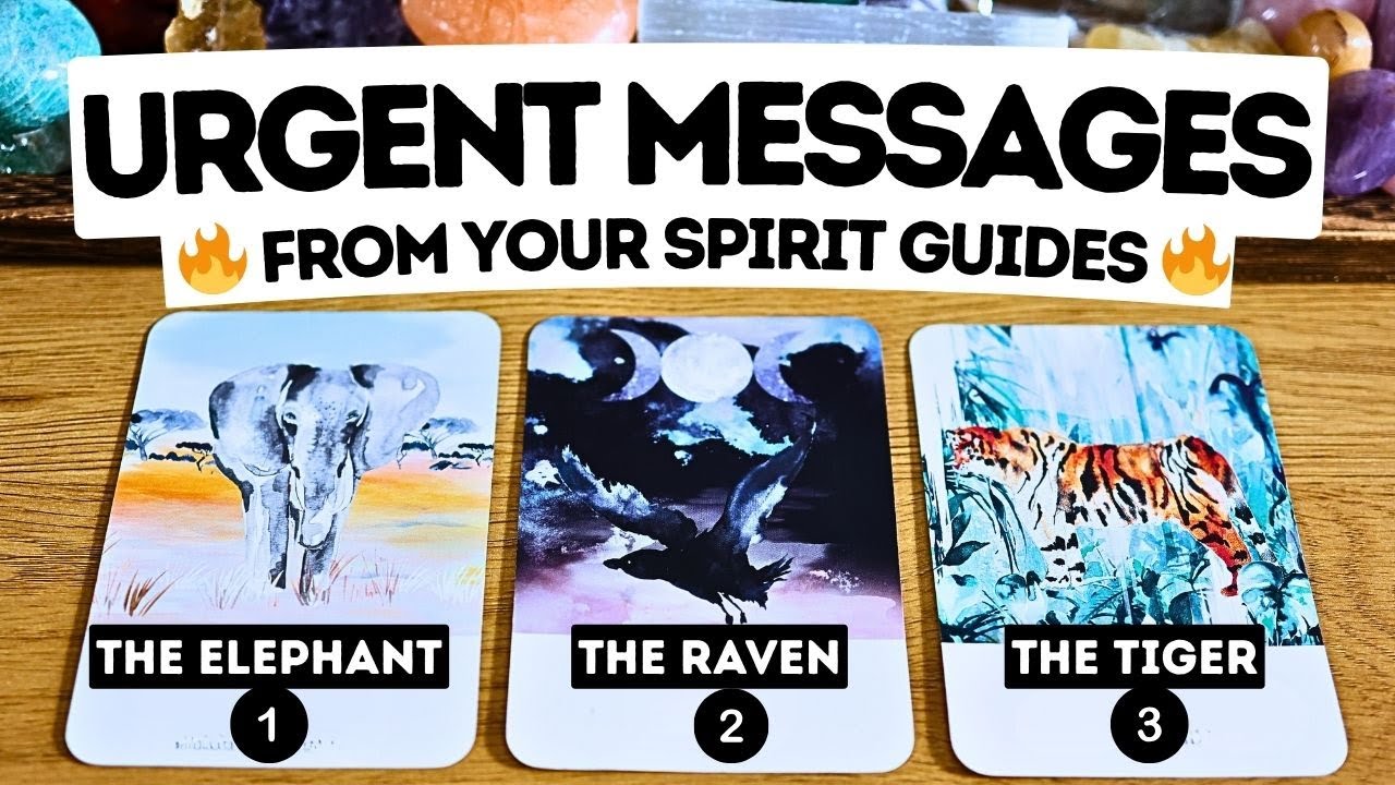 👉 URGENT Messages From Your Spirit Guides 🔥⏐TAROT &bull; pick a card