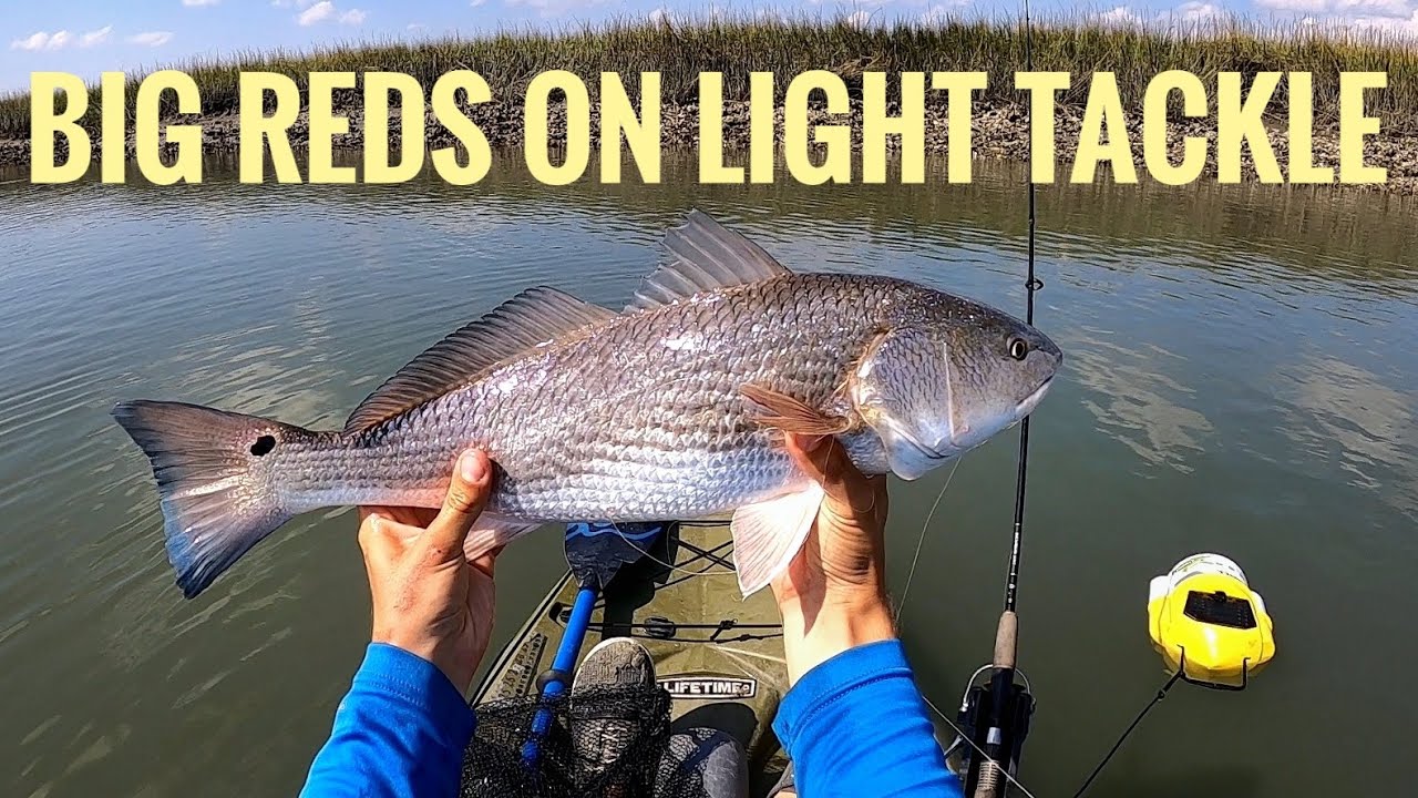 Big Upper Slot Reds on Light Tackle