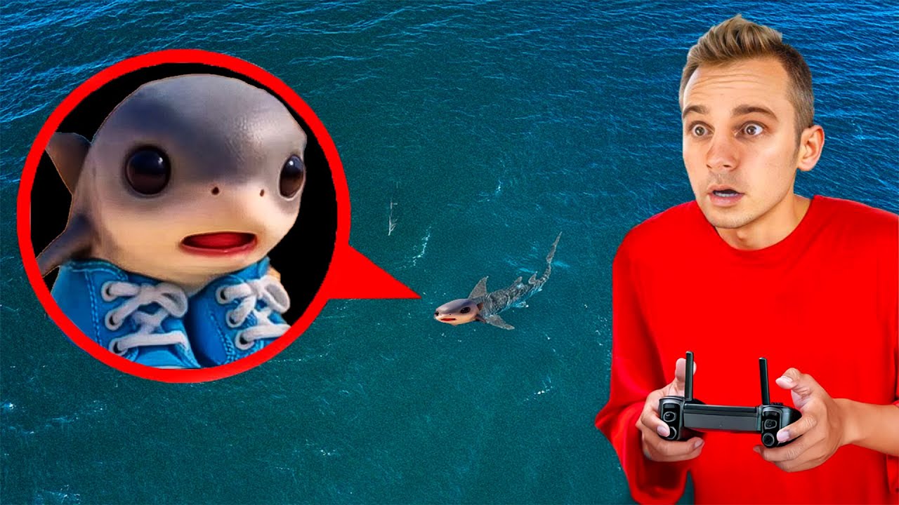 मेरा ड्रोन समुद्र में Shark Tralalero Tralala को पकड़ता है Anglikosik Hindi