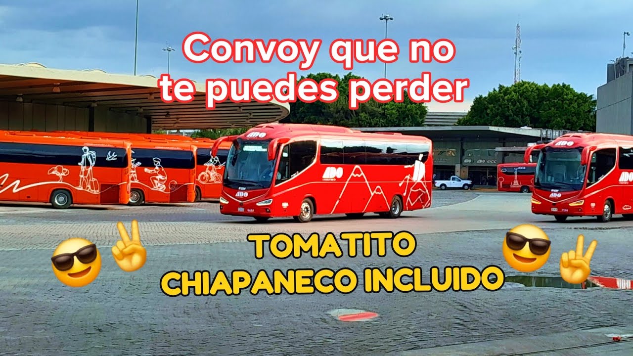 Convoy largo en la TAPO #sergiogoja #autobus #mobilityado 