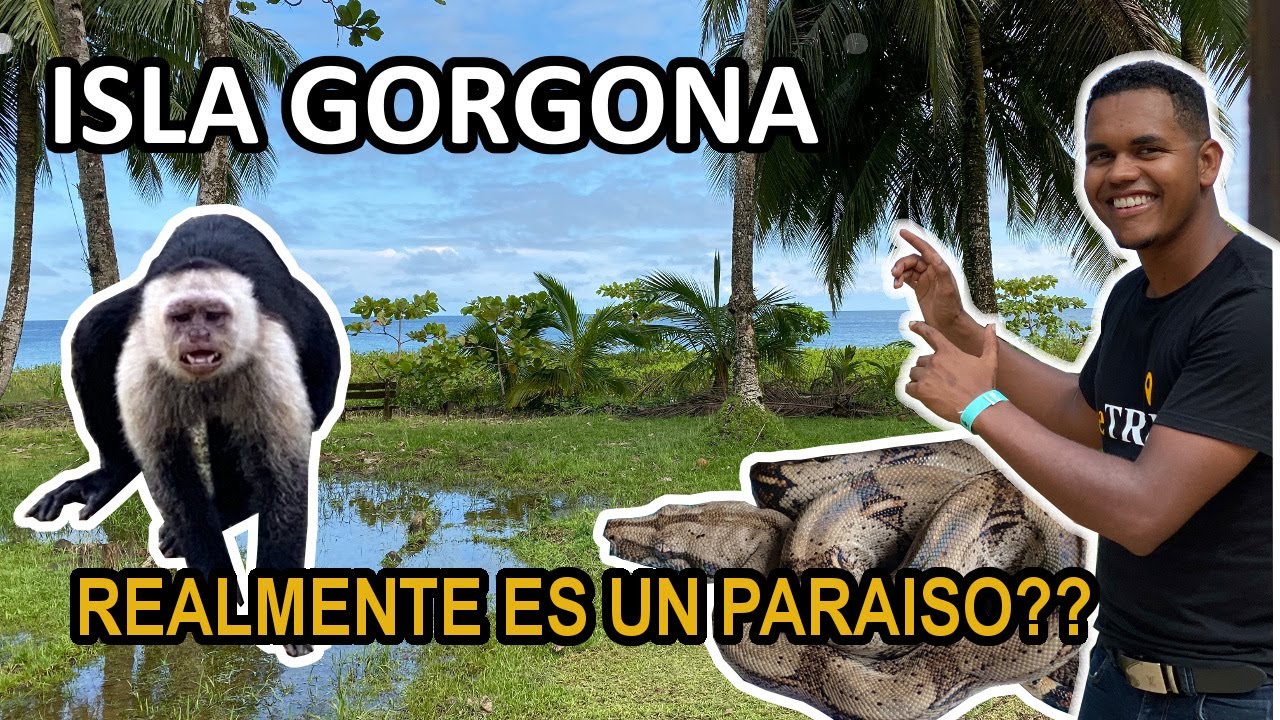 Isla Gorgona Un Pedazo de cielo en la Tierra - Como es y Como llegar