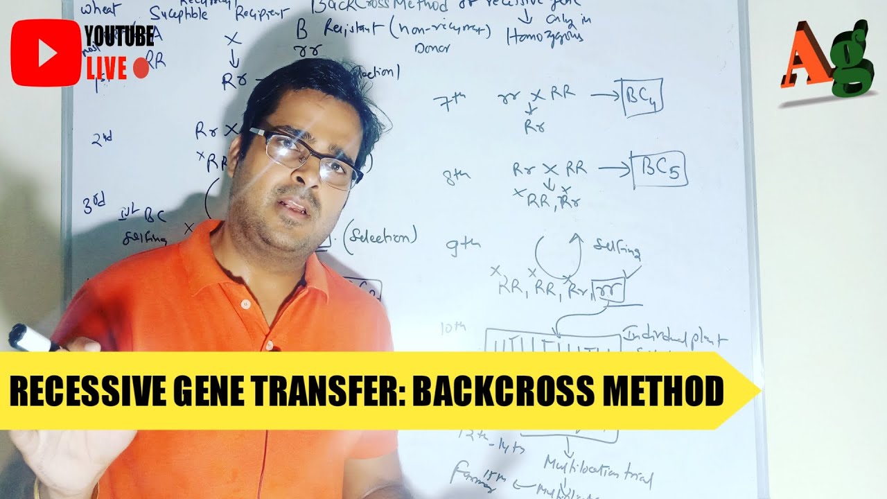 Backcross Method of Recessive Gene Transfer | Plant Breeding | Agriculture