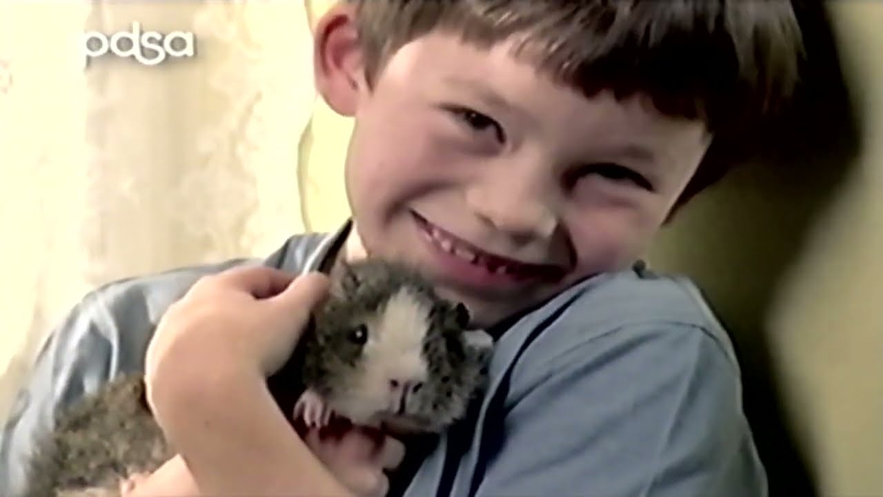 itv adverts vhs 3rd January 2005