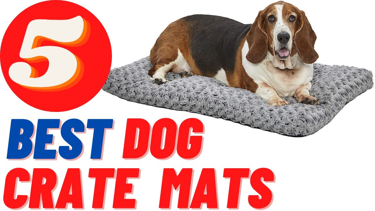 5 best dog crate mats | Review on 2022