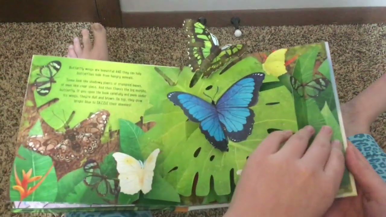 My Pop-Up Book Collection: Usborne Pop-Up Butterflies