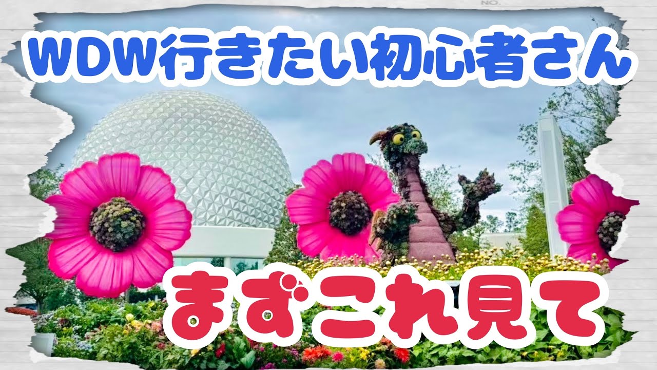 【初心者必見】WDW行く前にこれだけは見て！個人手配まるわかり！