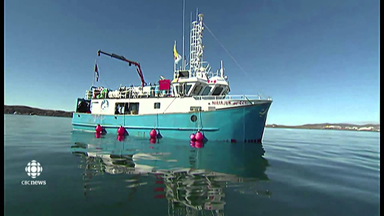 Ocean scientists call on Liberals to unmuzzle researchers