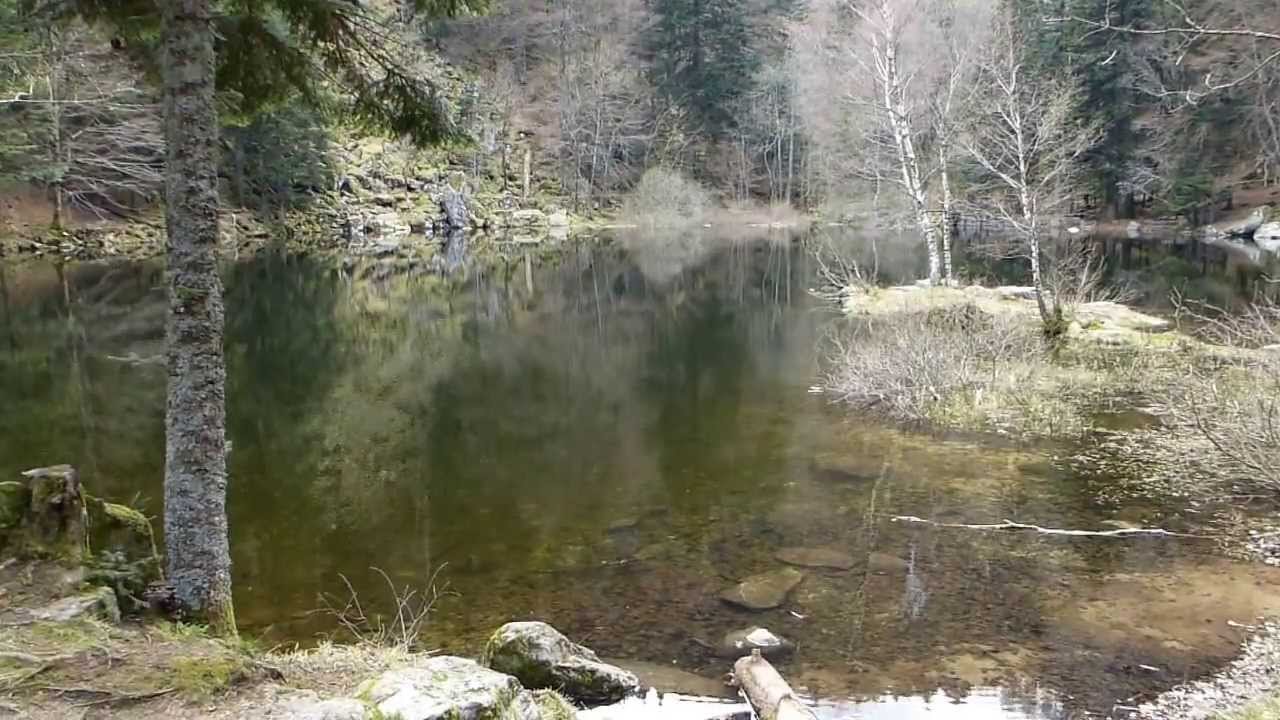 FISCHBOEDLE - vidéo 1 : la gloriette du lac (2013) -