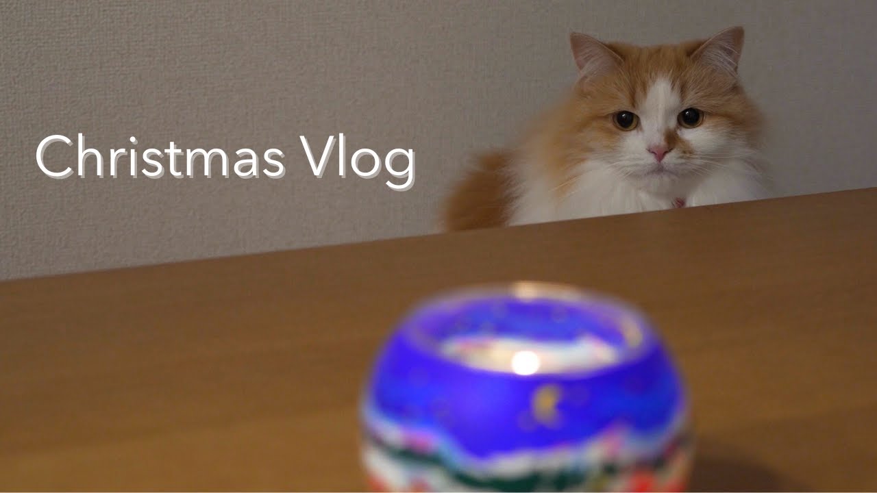 【Christmas Vlog】愛猫と過ごす3回目のクリスマス