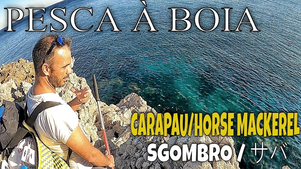 PESCA AO CARAPAU/CAVALA À BOIA EM SESIMBRA/ HORSE MACKEREL FISHING/ サバ / SGOMBRO / حصان الماكريل