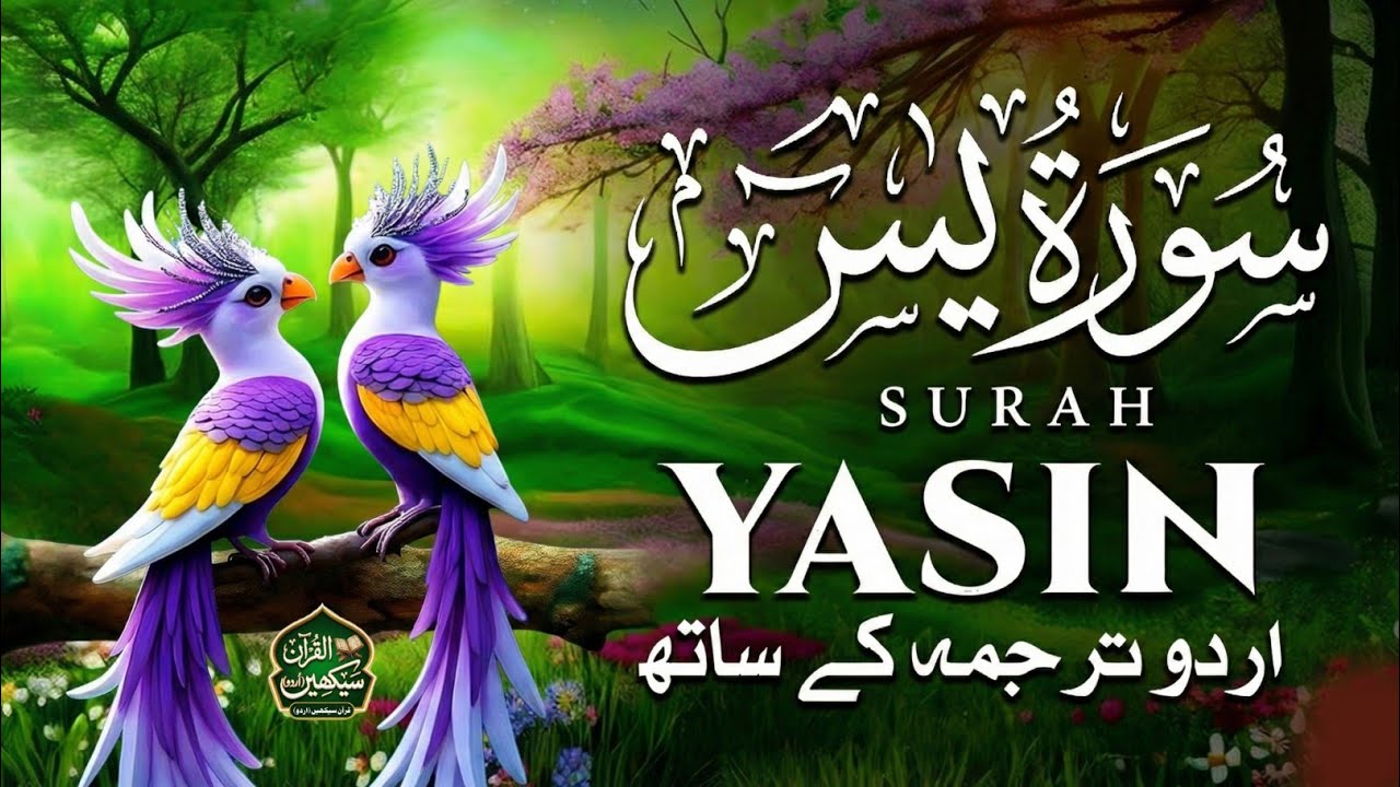 Surah Yaseen with Urdu Translation | Heart Touching Recitation That Brings Peace to the Soul