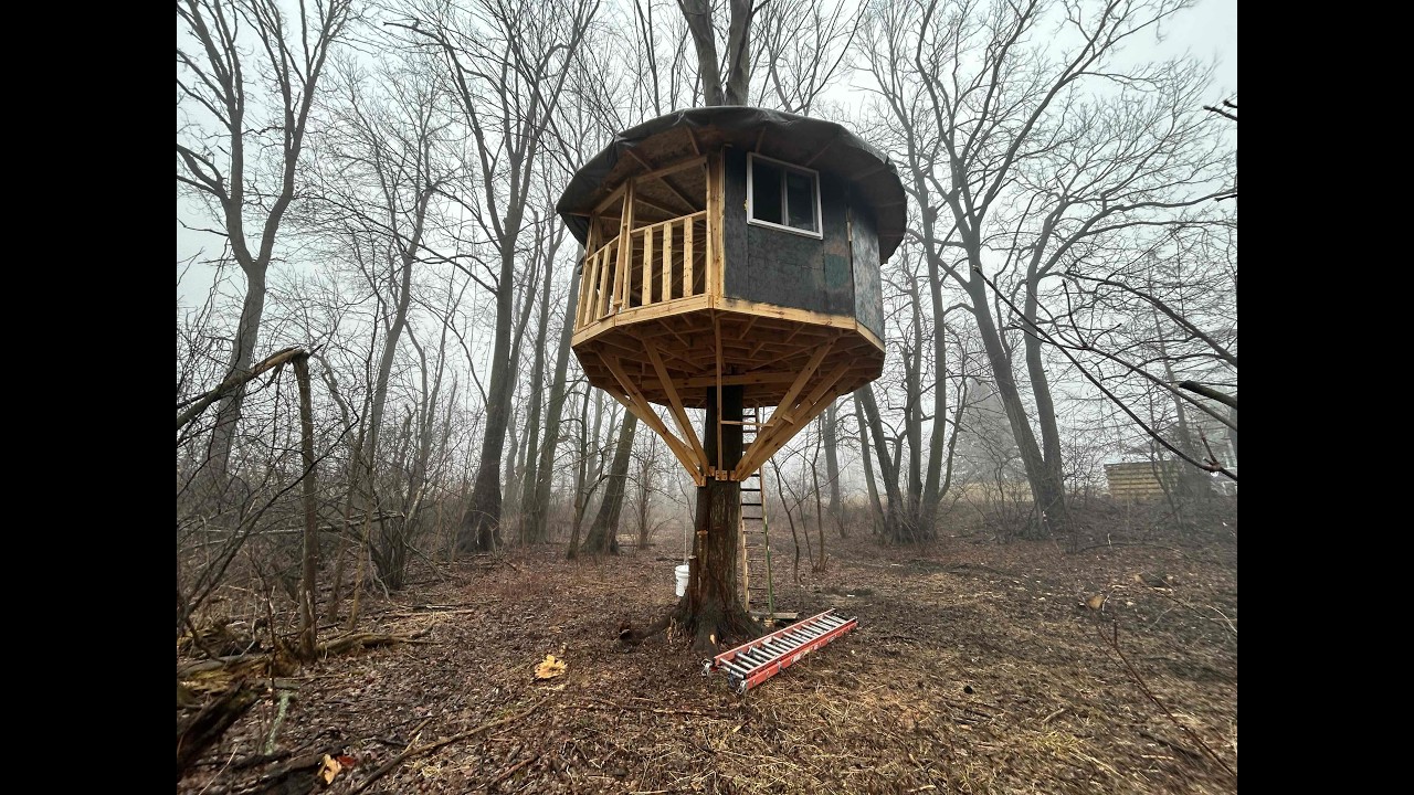 3 Kids 2 Adults 1 Epic Treehouse Adventure. 