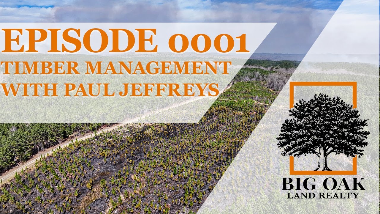 0001: Timber Management and GMOs with Paul Jeffreys