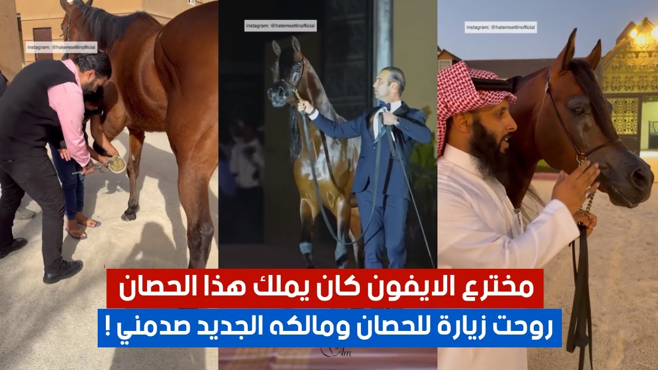 مخترع الايفون كان يملكه.. روحت زيارة للحصان الذى لفت انظار العالم ومالكه الجديد صدمني