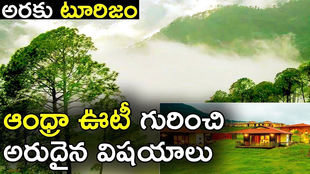 Araku Valley Tourism | Andhra Ooty Tourist Spots and it's Significance   AP Tourism | Indain Waves