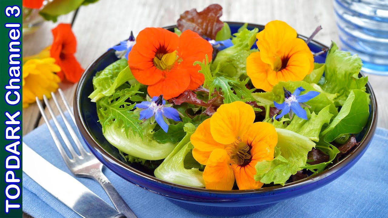 10 Tipos de flores que son comestibles