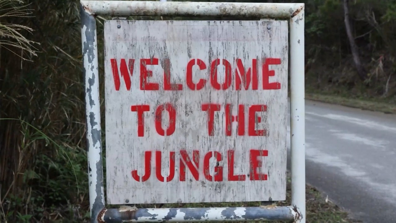 Welcome to the Jungle - We've Got Fun and Games!