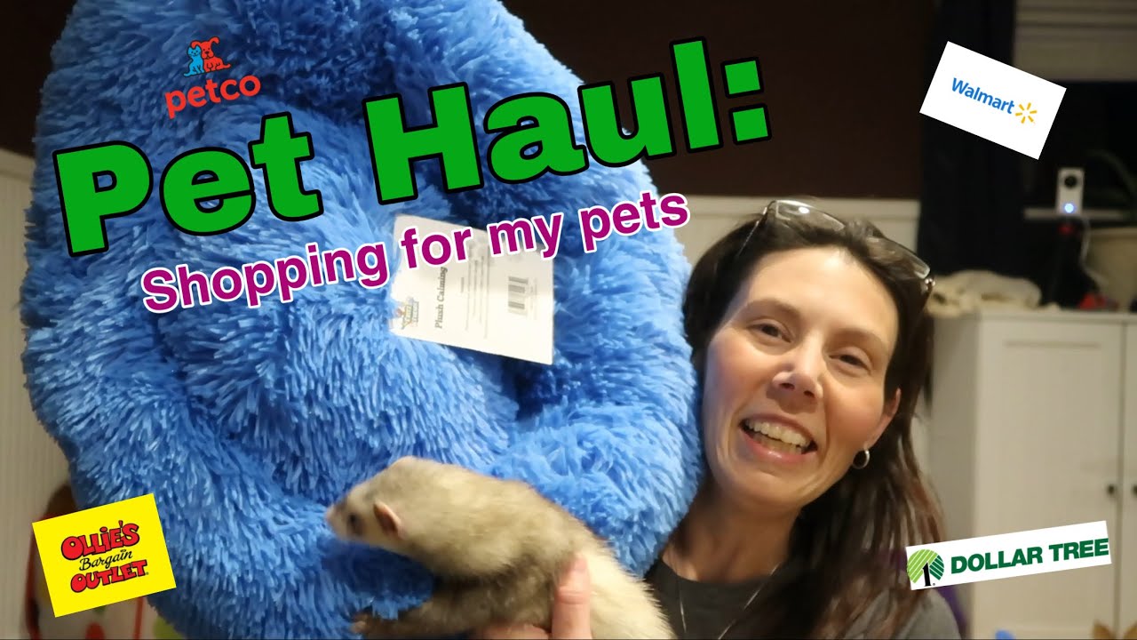 Shopping for my Pets / Pet Haul 2021 / Buying Toys and Supplies for my Ferrets, Cats, Dogs, Fish