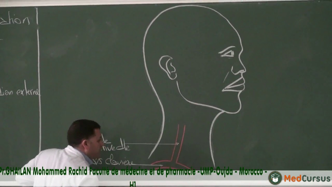 la vascularisation de la face  - Partie 1 - Pr. GHAILAN  Med  Rachid  Fac de médecine oujda