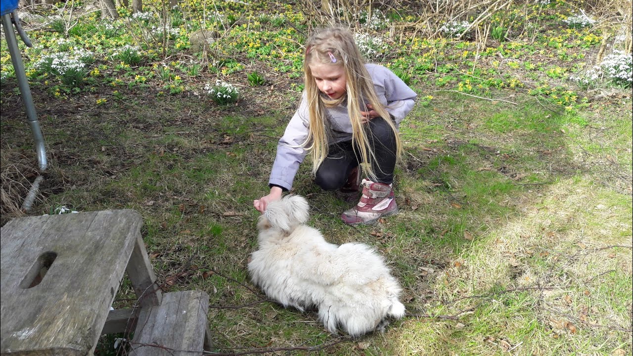 Nummer to kanin på besøg🐇 😀