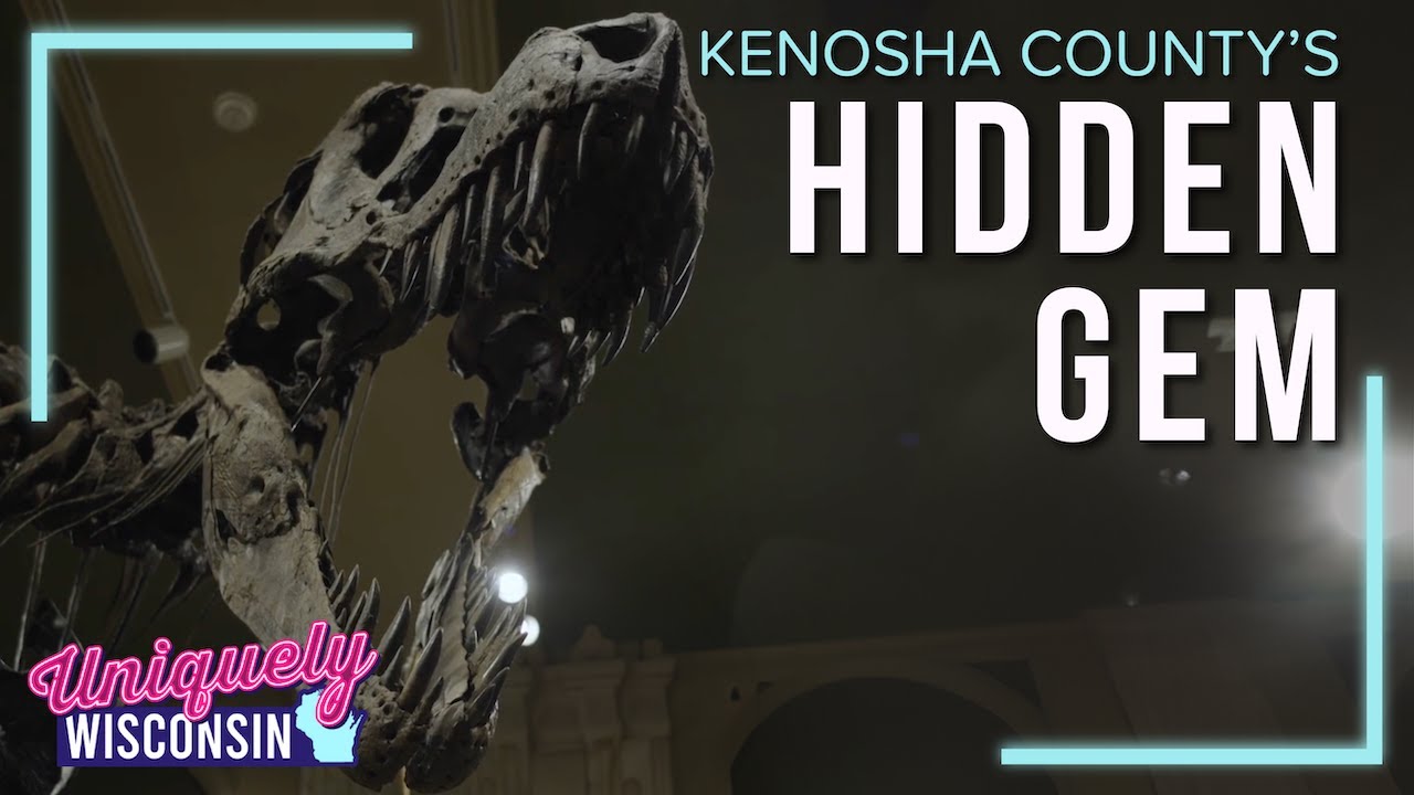 Unearthing the Past: A Hidden Gem in Archaeology & Paleontology
