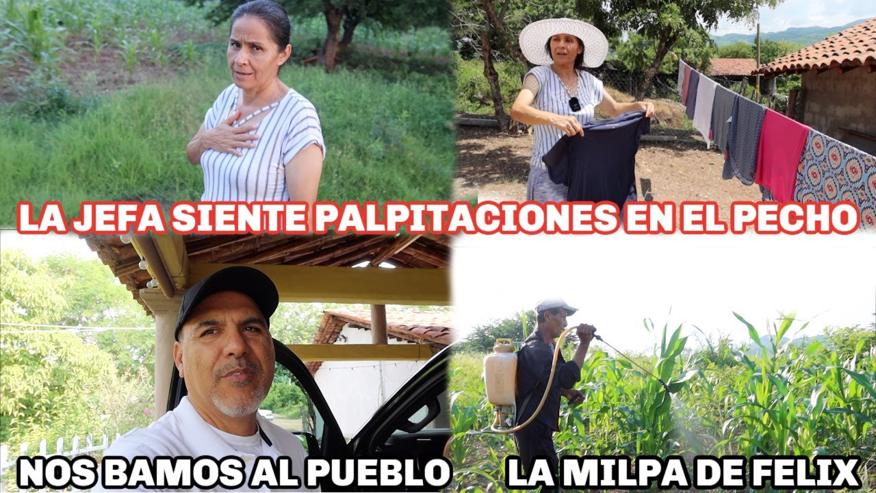 UNA HERMOSA TARDE | FUMIGANDO LA MILPA | LE QUISO DAR UN ATAQUE A LA JEFA!!