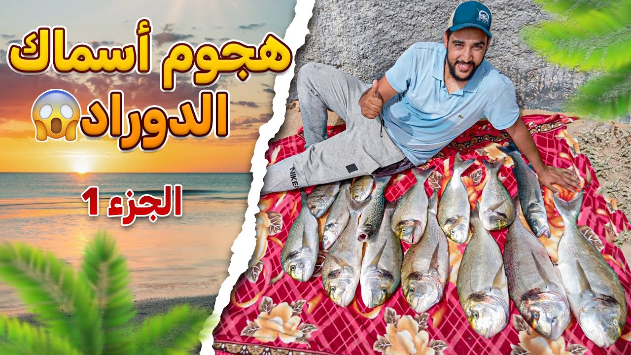 هجوم أسماك الدوراد 😱​ الجزء الاول