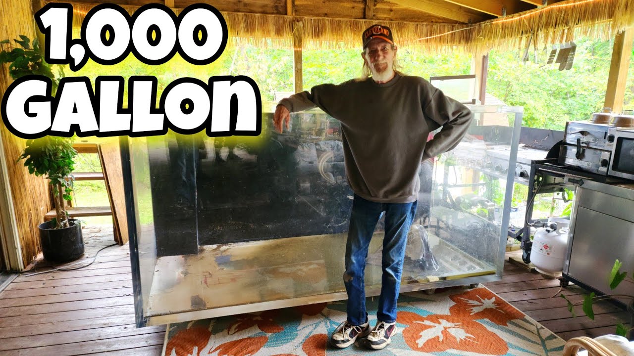 1,000 Gallon Monster Acrylic Aquarium FINALLY set up part 1.
