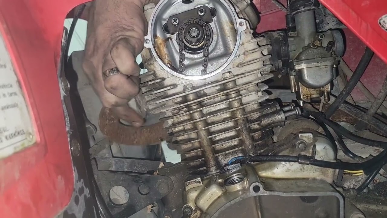 My $200 Bayou 220. Top End Rebuild. Part 1. Disassembly