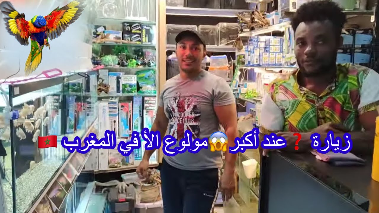 زيارة عند أكبر#-مولوع 😱😱❤️الأ_#في المغرب ￼-#birds _#اكسبلور ‏_#😂🇲🇦￼😱😱😱