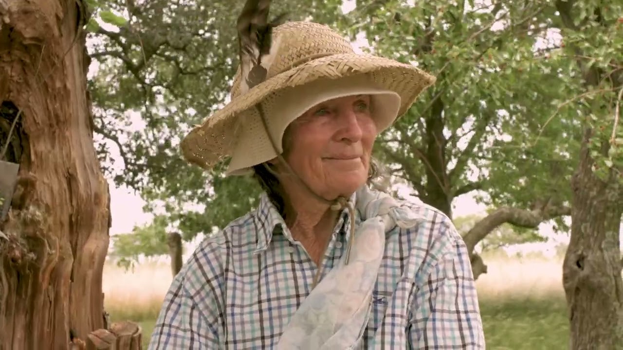 La solapa