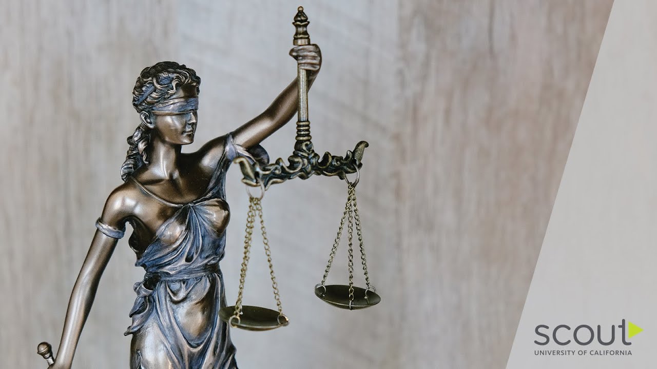Explore Modern Legal Issues | Law and Society