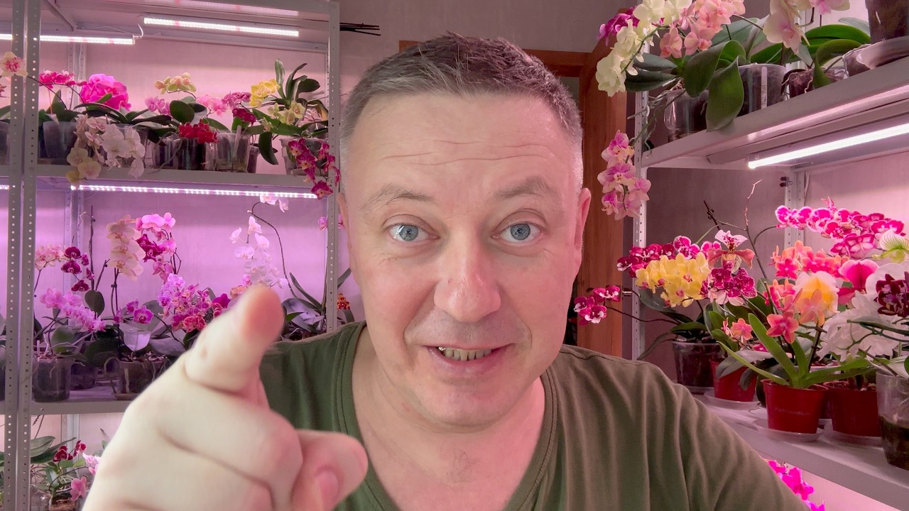 как продвигается МОЁ КЕТО : за 39 дней минус 13 кг и какие ОЩУЩЕНИЯ