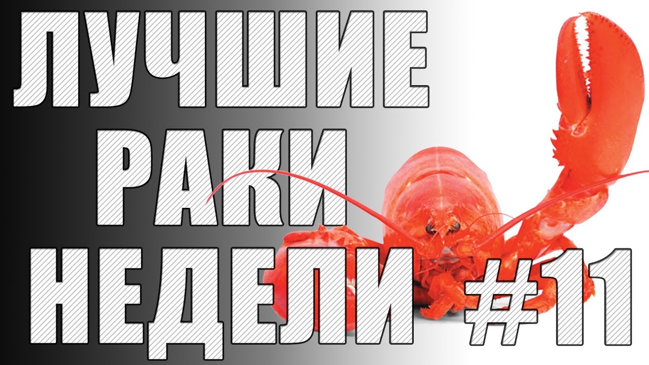 ЛРН выпуск №11 [Лучшие Раки Недели]